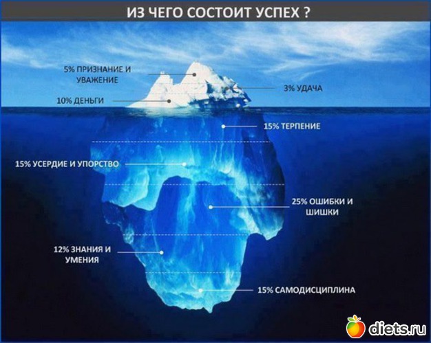 221 ����: ���������