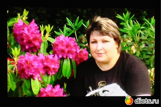 � � 2006 ����, ������: ����