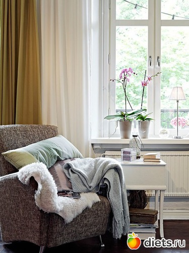 296 ����: ���������