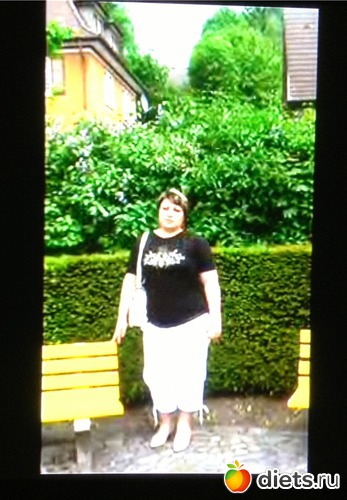 2006 � �, ������: ����