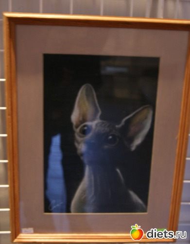 1 ����: ���� ������ �������� � ��� ������ � �������