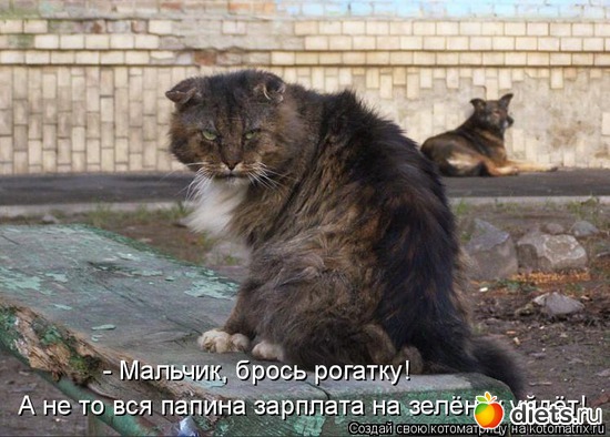 2 ����: ��� ������