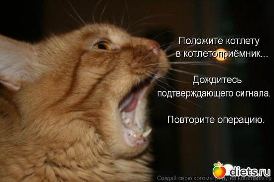 3 ����: ��� ������