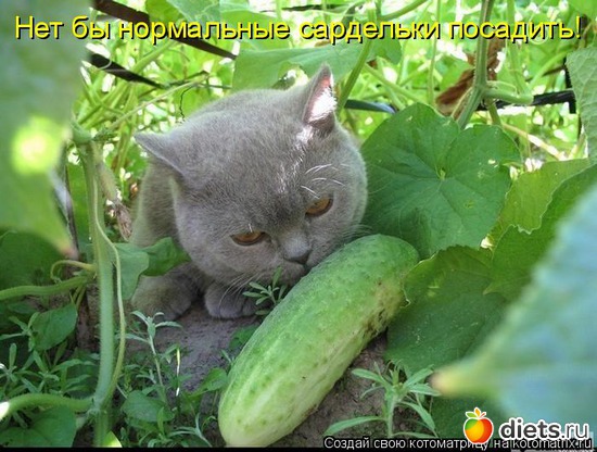 4 ����: ��� ������