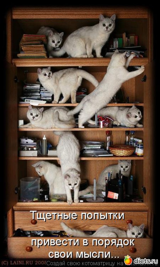 6 ����: ��� ������