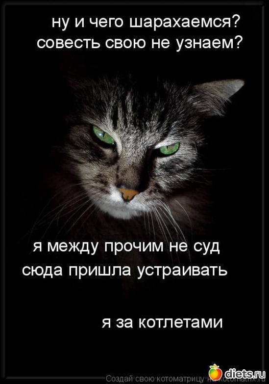 7 ����: ��� ������