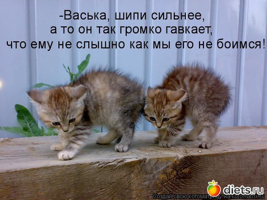 11 ����: ��� ������