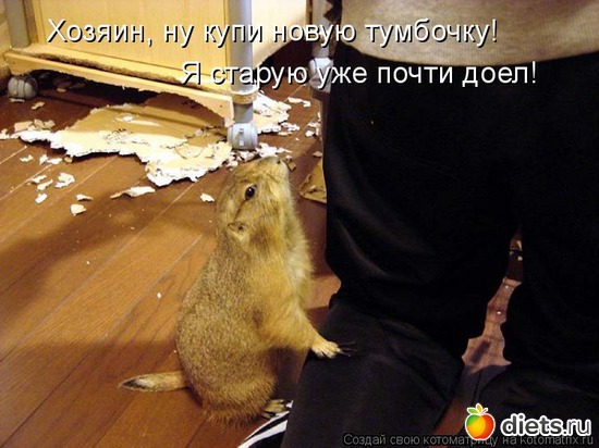 12 ����: ��� ������