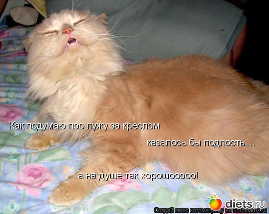 13 ����: ��� ������