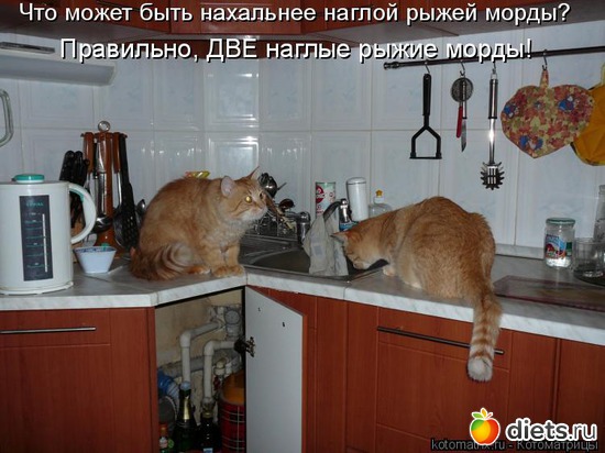 14 ����: ��� ������