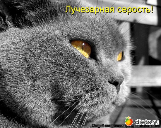 15 ����: ��� ������