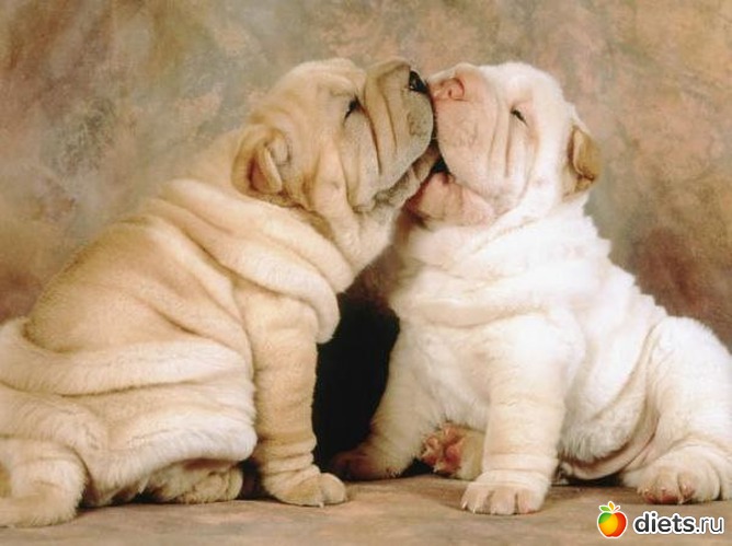 30 ����: ��������