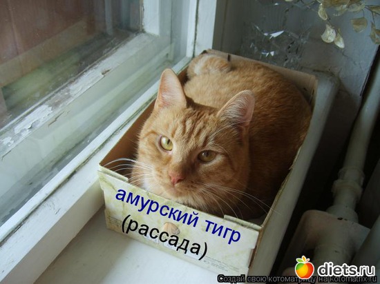 17 фото: Для постов