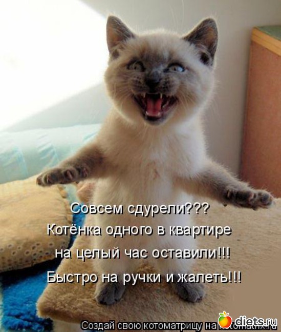 18 ����: ��� ������