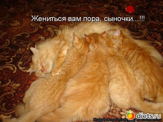 19 ����: ��� ������