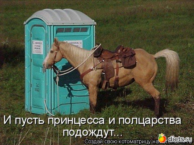 20 ����: ��� ������