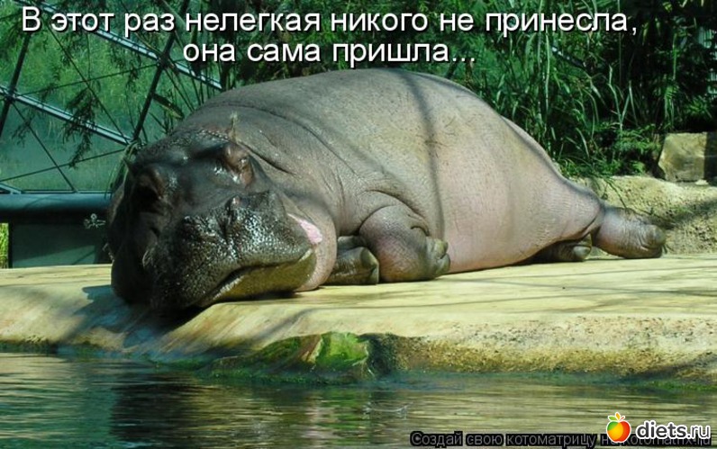 21 ����: ��� ������