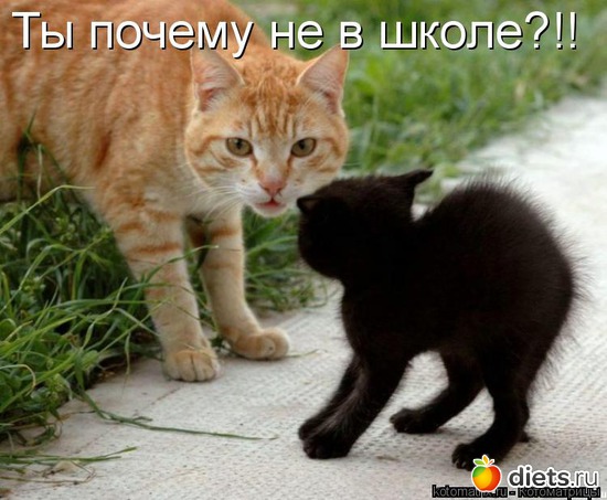 22 ����: ��� ������