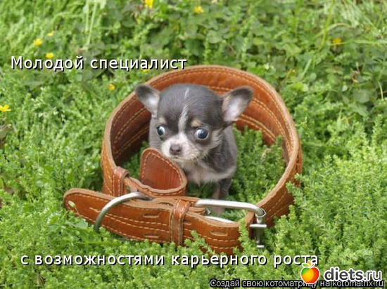 23 фото: Для постов