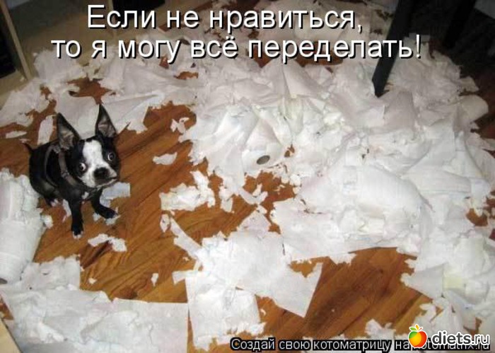 24 ����: ��� ������