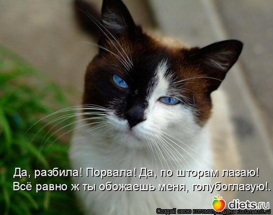 26 ����: ��� ������