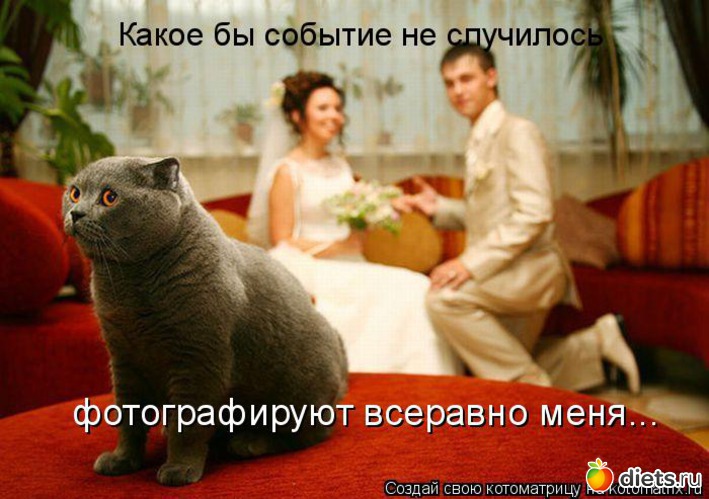 27 ����: ��� ������