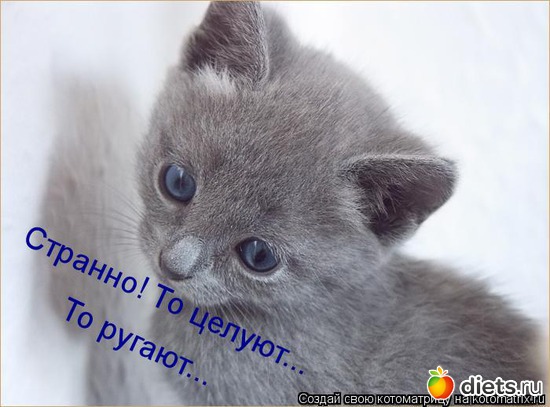 28 ����: ��� ������