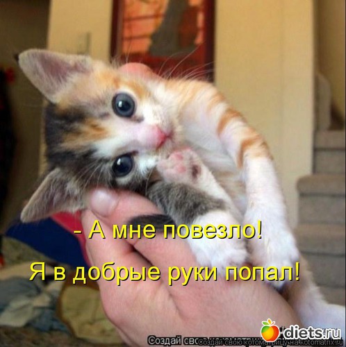 29 ����: ��� ������