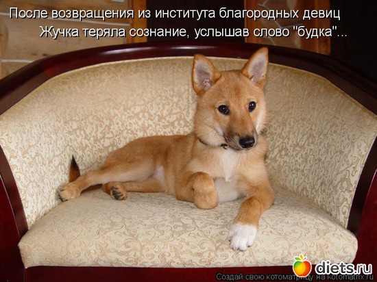 30 ����: ��� ������