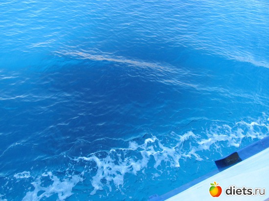 море море..., альбом: мои