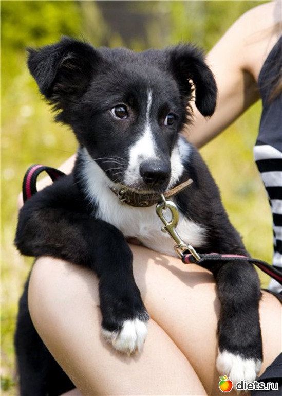 1 ����: ����