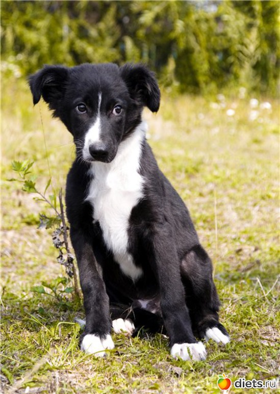 2 ����: ����