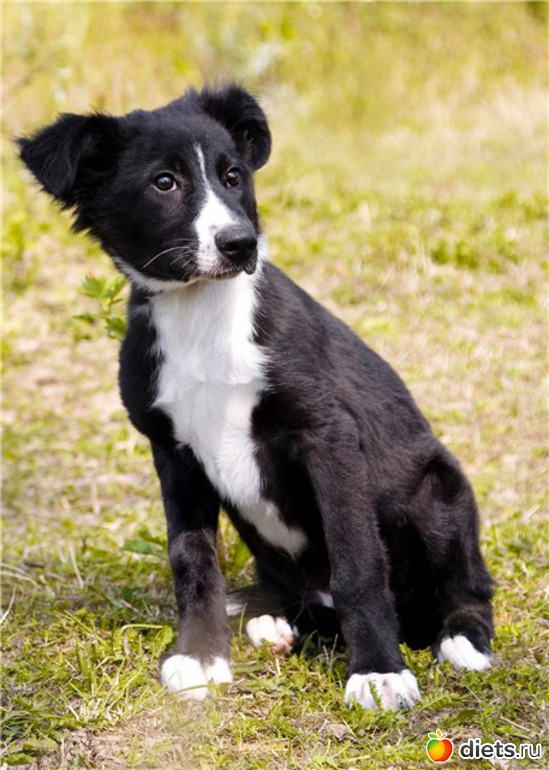 3 ����: ����