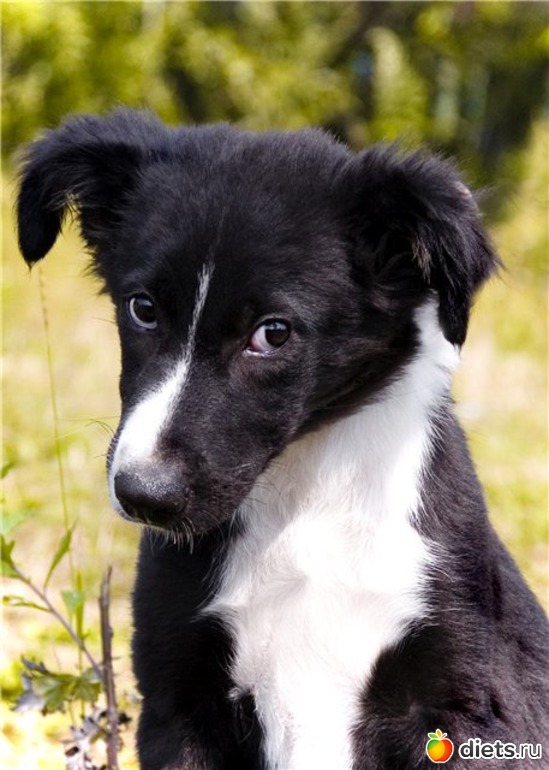 4 ����: ����