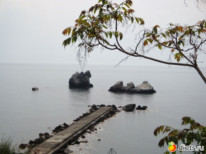 26 ����: ����