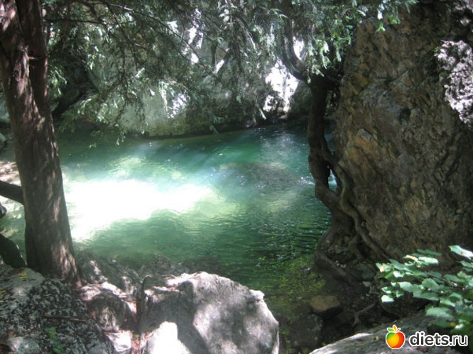 ����� ���������, ������: ����