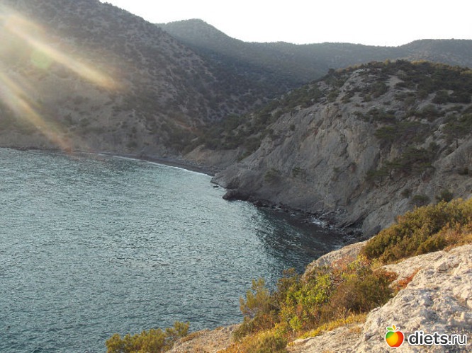 ������� �����, ������: ����