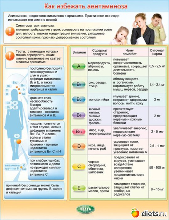 1 ����: ��������, ��������