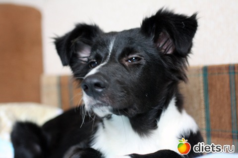 �������-�