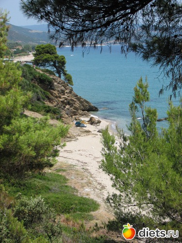 1 ����: ������