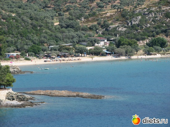 3 ����: ������