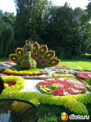 13 фото: Выставка цветов. Киев-2012