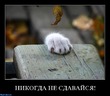 Сообщение Номер Один