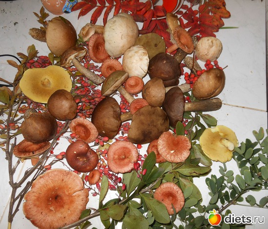 2 ����: �������� ���