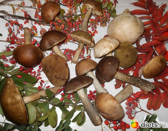 3 ����: �������� ���