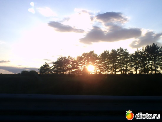 1 ����: �������