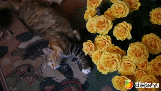 18 ����: ��������� ��� � ����