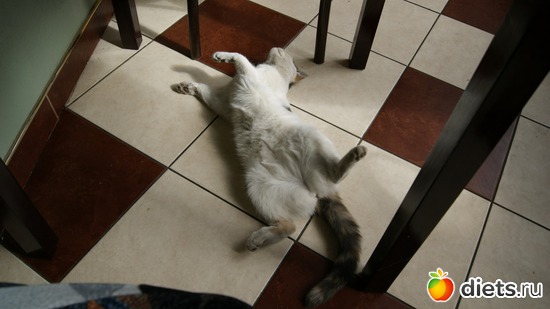 19 ����: ��������� ��� � ����