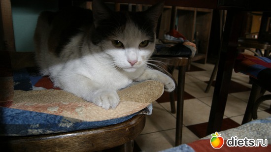 20 ����: ��������� ��� � ����