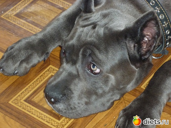 ����� �����, �� ����� ��� ���������), ������: ������ �����